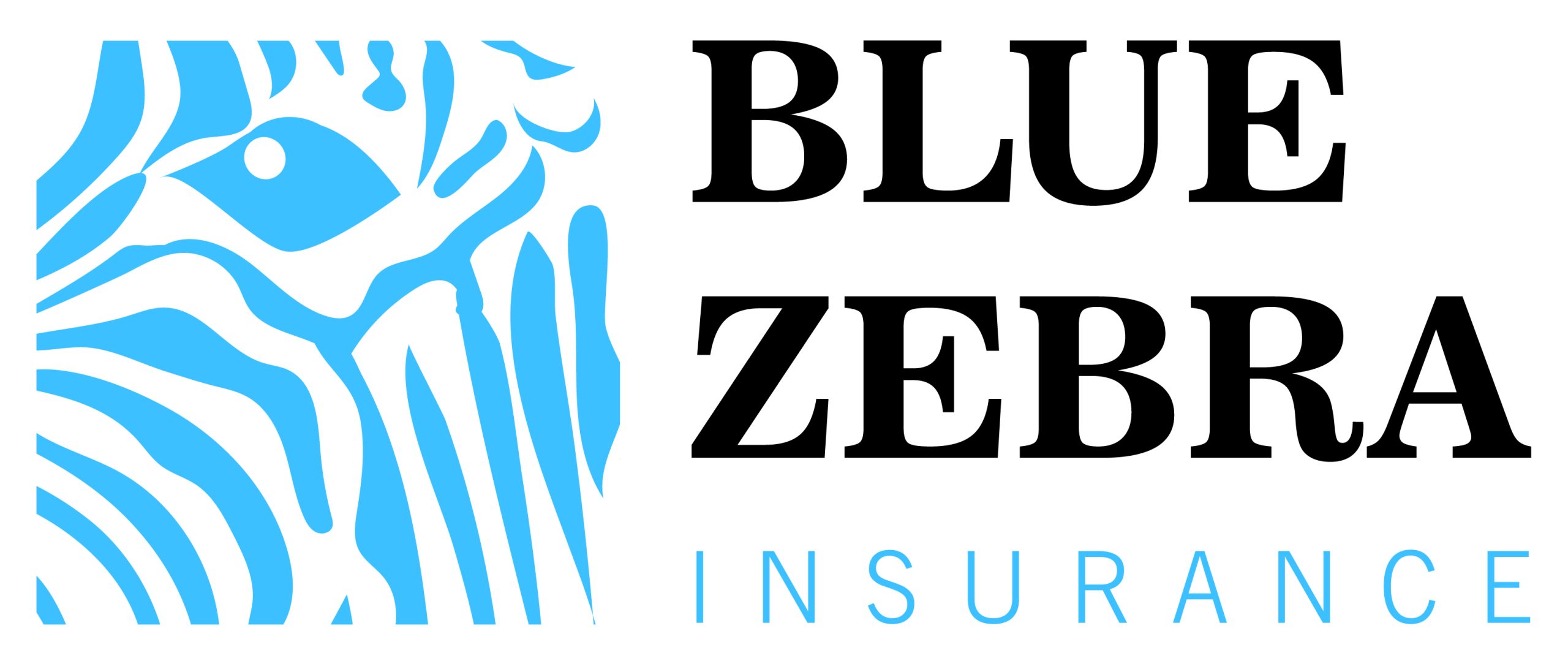 Blue Zebra Insurance Pty Ltd